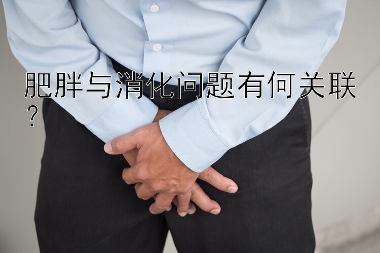 肥胖与消化问题有何关联？