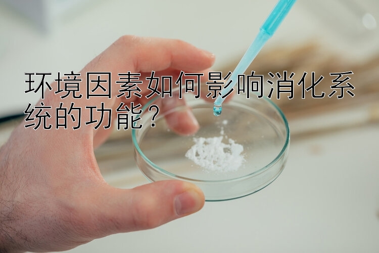 环境因素如何影响消化系统的功能？