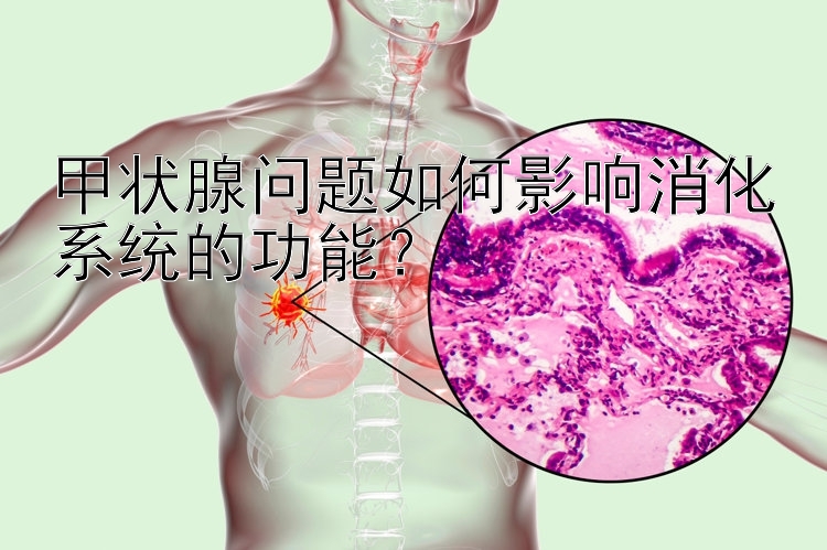 甲状腺问题如何影响消化系统的功能？