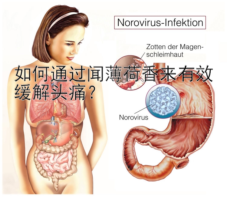 如何通过闻薄荷香来有效缓解头痛？