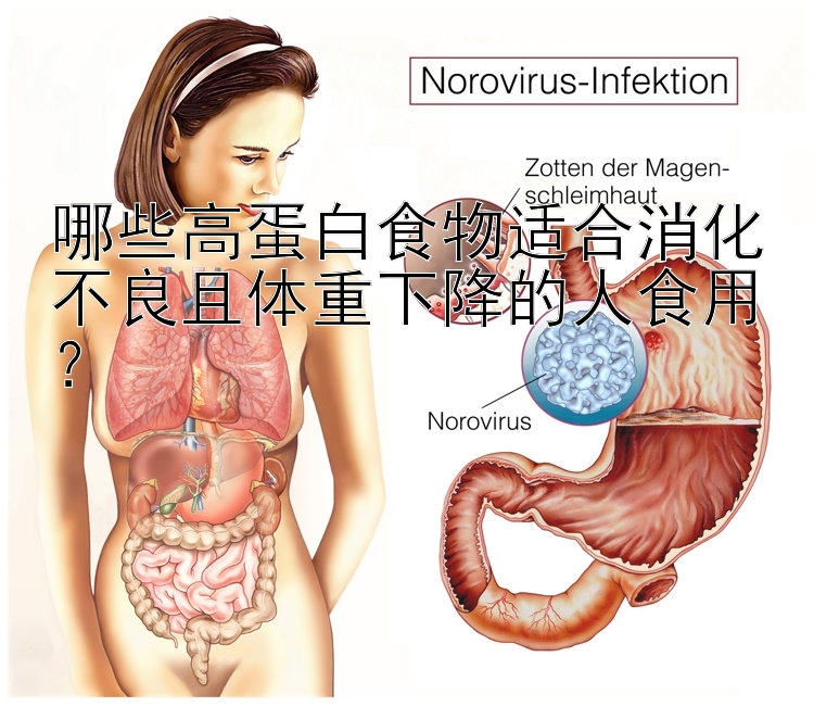 哪些高蛋白食物适合消化不良且体重下降的人食用？