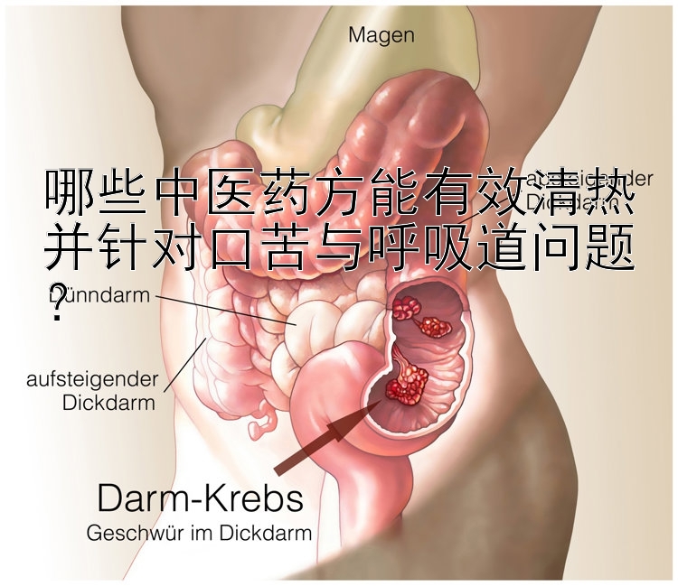 哪些中医药方能有效清热并针对口苦与呼吸道问题？