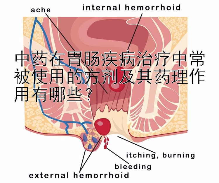 中药在胃肠疾病治疗中常被使用的方剂及其药理作用有哪些？