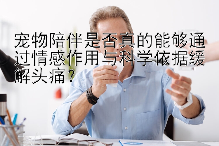 宠物陪伴是否真的能够通过情感作用与科学依据缓解头痛？